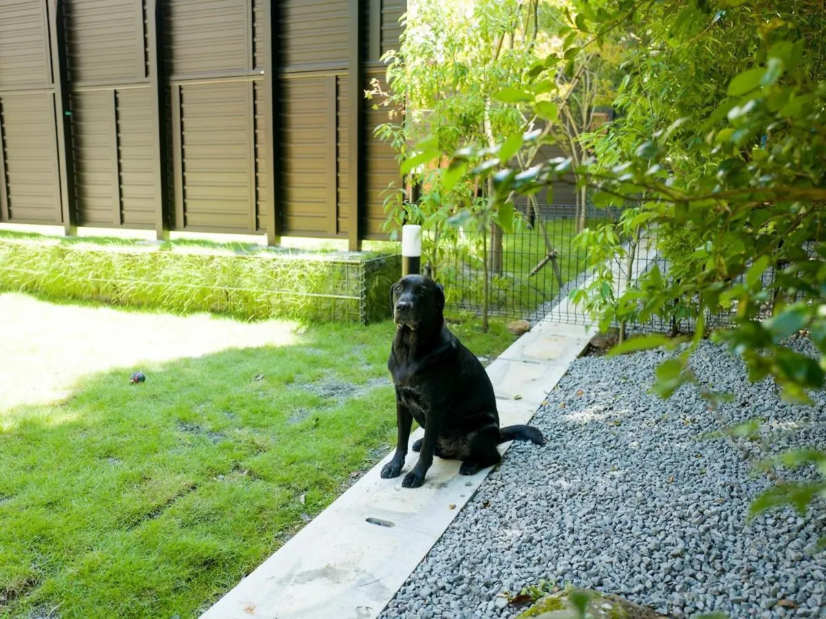 Rakuten Stay Villa Hakone Sengokuhara: Pet-Friendly BBQ Retreat